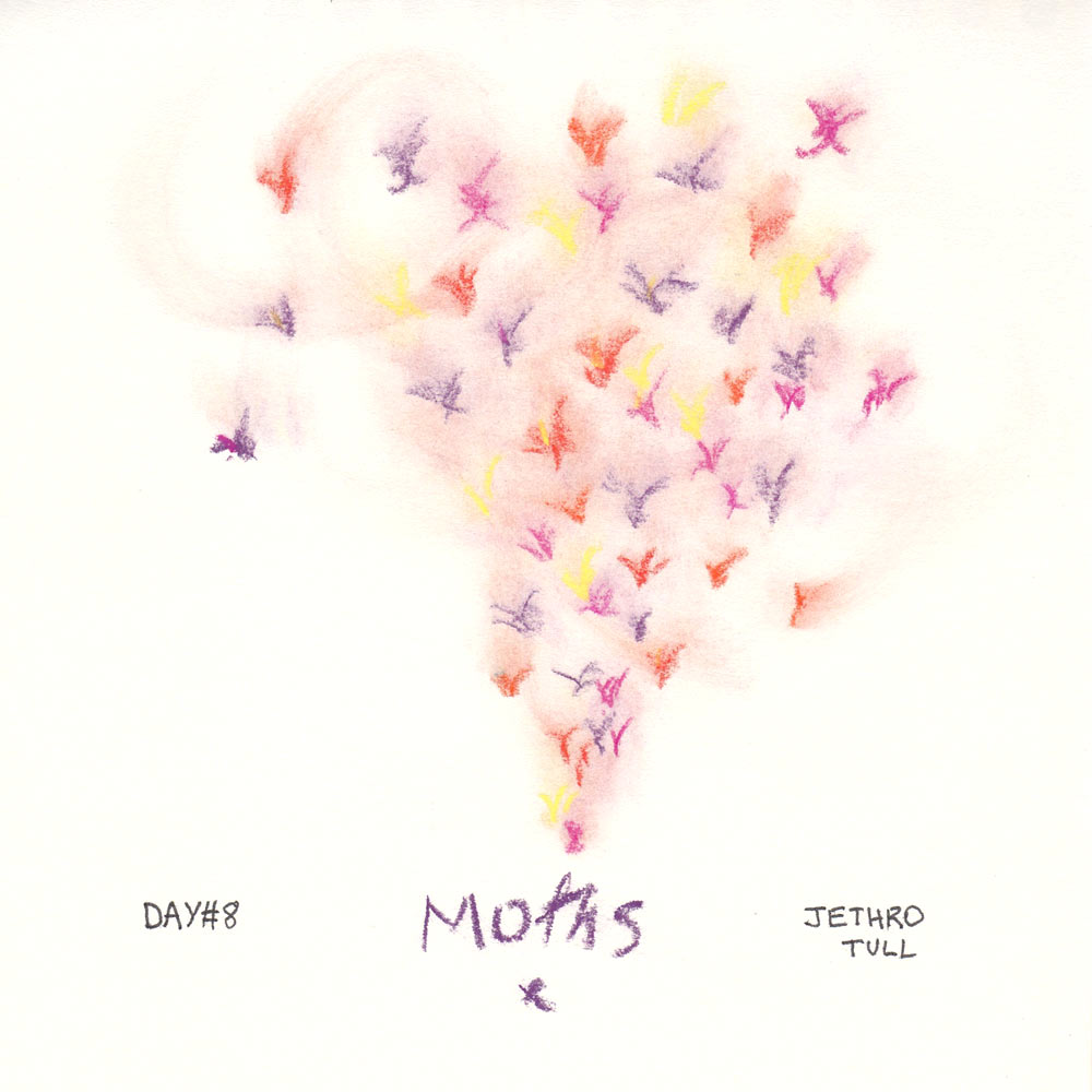 Day 8: Moths, Jethro Tull